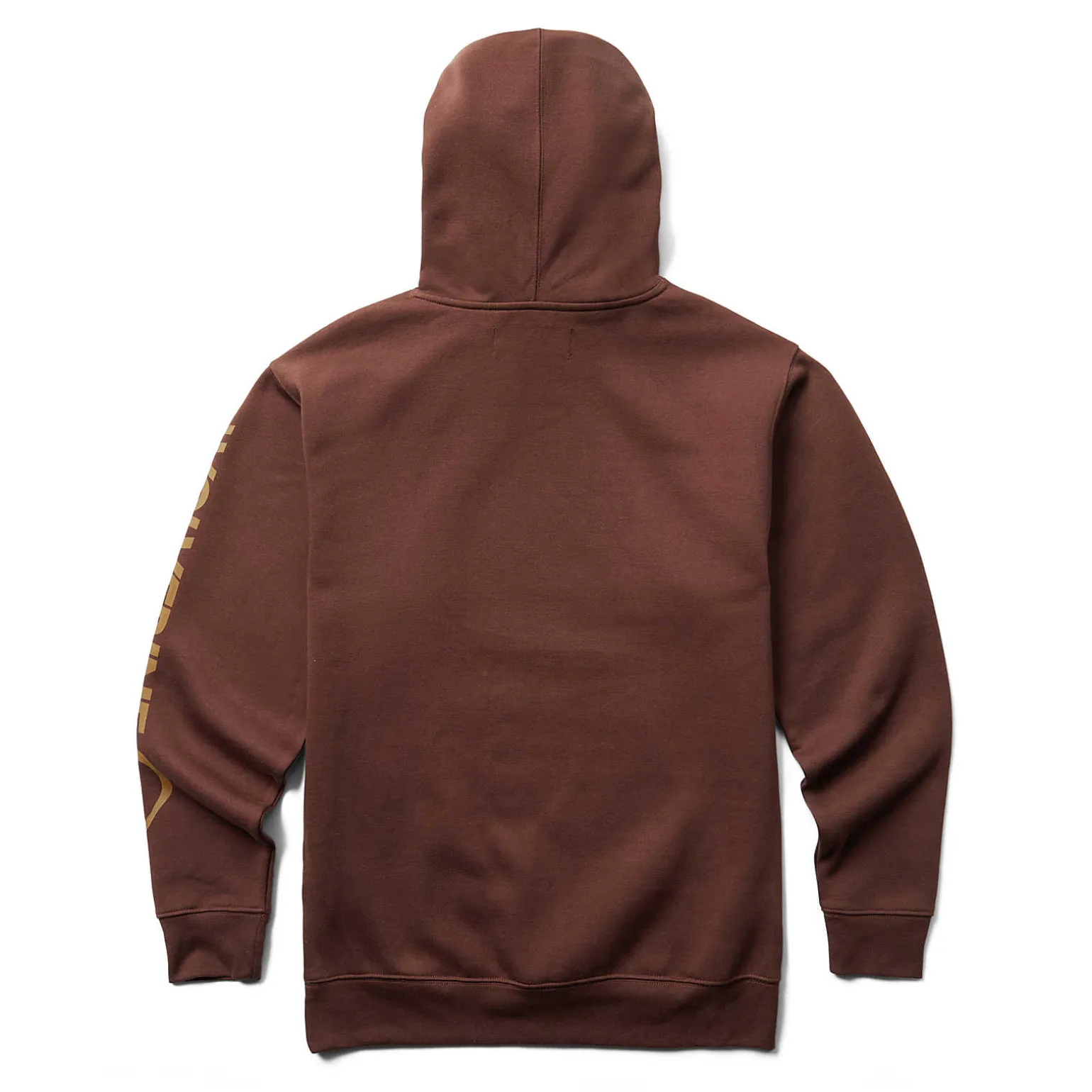 Graphic Hoody- Sleeve Logo