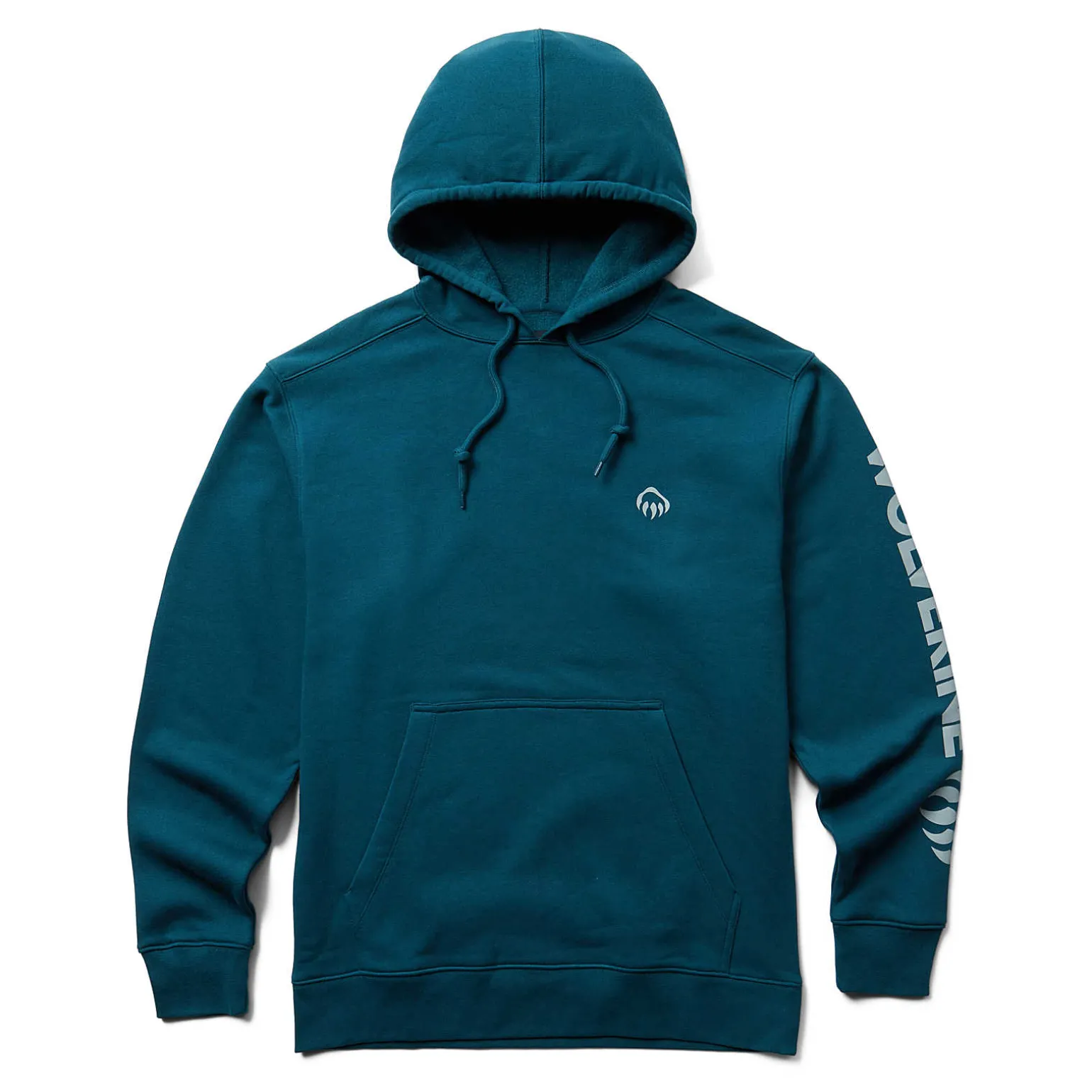 Graphic Hoody- Sleeve Logo